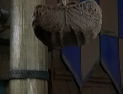 extant_XenaWarriorPrincess_2x06-WarriorPrincessTramp_03333