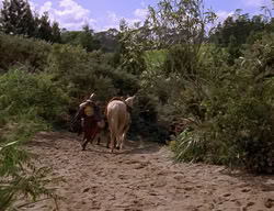 extant_XenaWarriorPrincess_2x06-WarriorPrincessTramp_03688