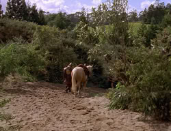 extant_XenaWarriorPrincess_2x06-WarriorPrincessTramp_03689