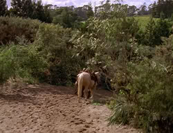 extant_XenaWarriorPrincess_2x06-WarriorPrincessTramp_03690