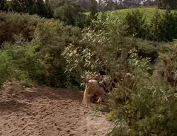 extant_XenaWarriorPrincess_2x06-WarriorPrincessTramp_03691