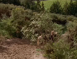 extant_XenaWarriorPrincess_2x06-WarriorPrincessTramp_03692