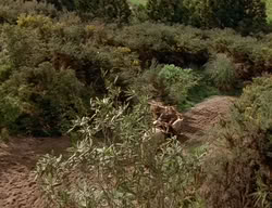 extant_XenaWarriorPrincess_2x06-WarriorPrincessTramp_03694