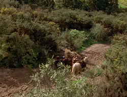 extant_XenaWarriorPrincess_2x06-WarriorPrincessTramp_03695
