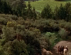 extant_XenaWarriorPrincess_2x06-WarriorPrincessTramp_03700
