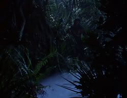 extant_XenaWarriorPrincess_2x07-IntimateStranger_0001