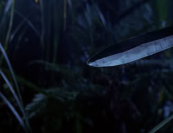 extant_XenaWarriorPrincess_2x07-IntimateStranger_0211