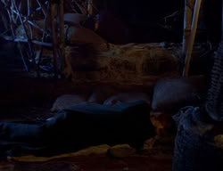 extant_XenaWarriorPrincess_2x07-IntimateStranger_0715