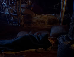 extant_XenaWarriorPrincess_2x07-IntimateStranger_0716