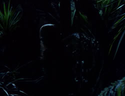 extant_XenaWarriorPrincess_2x07-IntimateStranger_0722