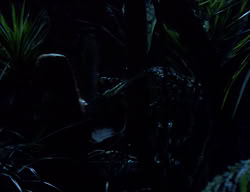 extant_XenaWarriorPrincess_2x07-IntimateStranger_0723