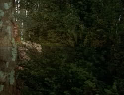 extant_XenaWarriorPrincess_2x07-IntimateStranger_1264