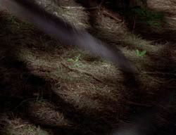 extant_XenaWarriorPrincess_2x07-IntimateStranger_1568