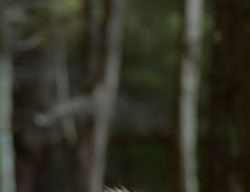 extant_XenaWarriorPrincess_2x07-IntimateStranger_1580