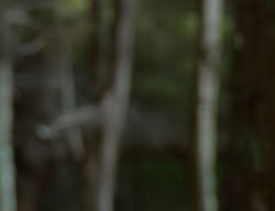 extant_XenaWarriorPrincess_2x07-IntimateStranger_1581