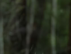 extant_XenaWarriorPrincess_2x07-IntimateStranger_1582