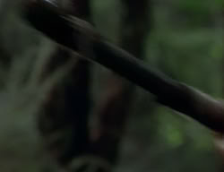 extant_XenaWarriorPrincess_2x07-IntimateStranger_1583