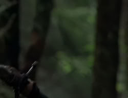 extant_XenaWarriorPrincess_2x07-IntimateStranger_1586