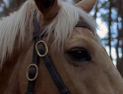 extant_XenaWarriorPrincess_2x07-IntimateStranger_1692