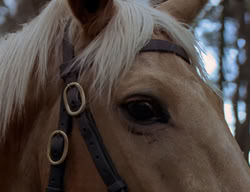 extant_XenaWarriorPrincess_2x07-IntimateStranger_1693