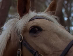 extant_XenaWarriorPrincess_2x07-IntimateStranger_1697