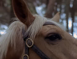 extant_XenaWarriorPrincess_2x07-IntimateStranger_1699