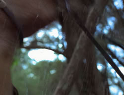 extant_XenaWarriorPrincess_2x07-IntimateStranger_1721