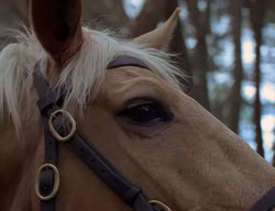 extant_XenaWarriorPrincess_2x07-IntimateStranger_1725