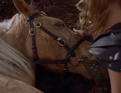 extant_XenaWarriorPrincess_2x07-IntimateStranger_1791