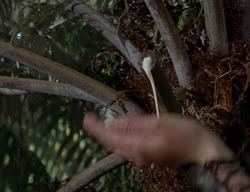 extant_XenaWarriorPrincess_2x07-IntimateStranger_1840
