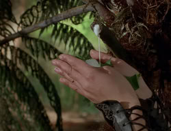 extant_XenaWarriorPrincess_2x07-IntimateStranger_1859