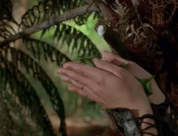 extant_XenaWarriorPrincess_2x07-IntimateStranger_1860