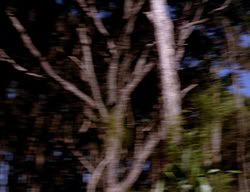 extant_XenaWarriorPrincess_2x07-IntimateStranger_2276