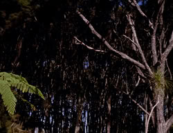 extant_XenaWarriorPrincess_2x07-IntimateStranger_2278