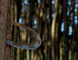 extant_XenaWarriorPrincess_2x07-IntimateStranger_2300
