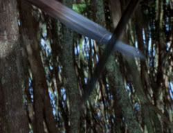 extant_XenaWarriorPrincess_2x07-IntimateStranger_2345