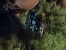 extant_XenaWarriorPrincess_2x07-IntimateStranger_2346