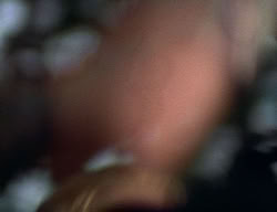 extant_XenaWarriorPrincess_2x07-IntimateStranger_2355
