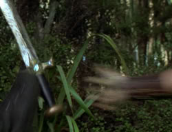 extant_XenaWarriorPrincess_2x07-IntimateStranger_2387