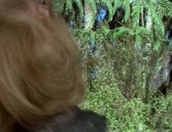 extant_XenaWarriorPrincess_2x07-IntimateStranger_2401
