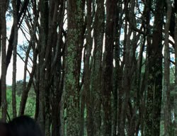extant_XenaWarriorPrincess_2x07-IntimateStranger_2561