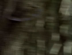 extant_XenaWarriorPrincess_2x07-IntimateStranger_2563