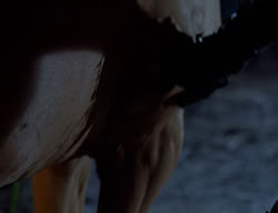extant_XenaWarriorPrincess_2x07-IntimateStranger_3373