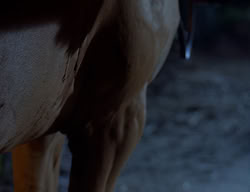 extant_XenaWarriorPrincess_2x07-IntimateStranger_3375