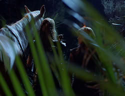 extant_XenaWarriorPrincess_2x07-IntimateStranger_3548
