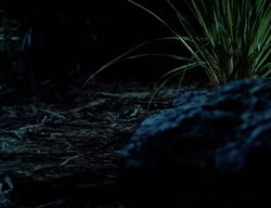 extant_XenaWarriorPrincess_2x08-TenLittleWarlords_0001