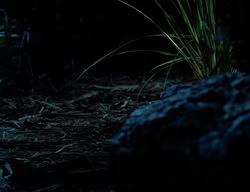 extant_XenaWarriorPrincess_2x08-TenLittleWarlords_0002