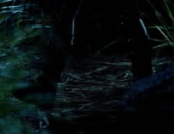 extant_XenaWarriorPrincess_2x08-TenLittleWarlords_0004