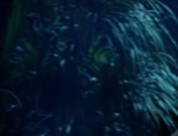 extant_XenaWarriorPrincess_2x08-TenLittleWarlords_0043