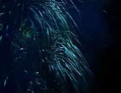extant_XenaWarriorPrincess_2x08-TenLittleWarlords_0044